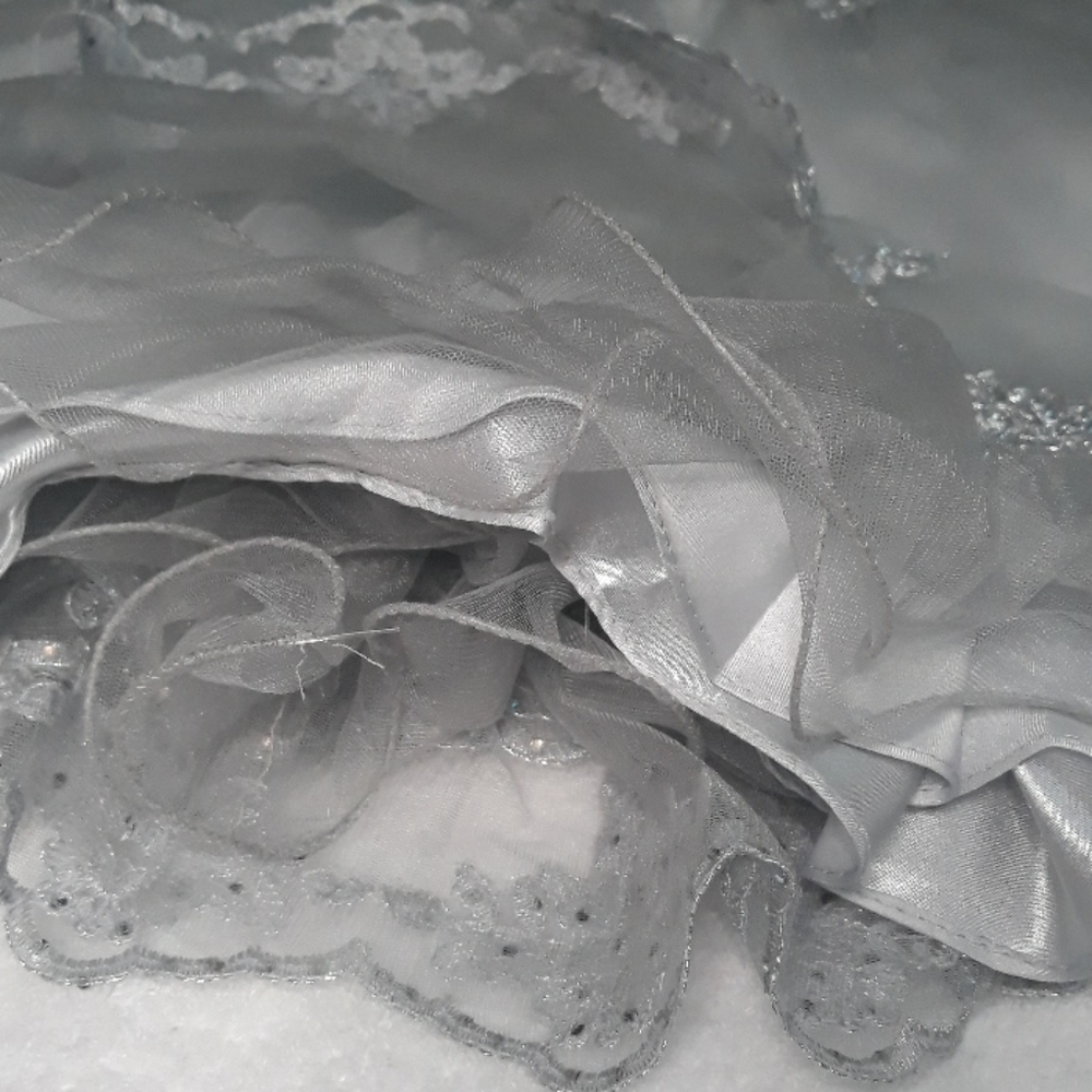 Silver Party Dress - Picture 7 of 7